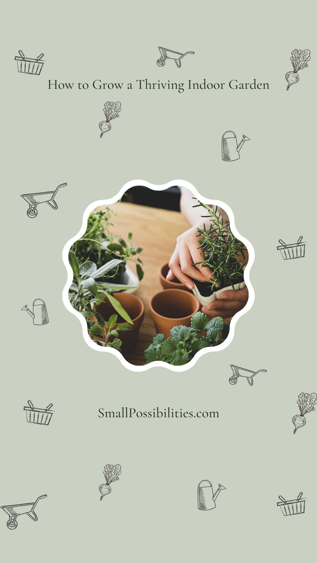 Gardening on a Budget: How to Start Without Breaking the Bank