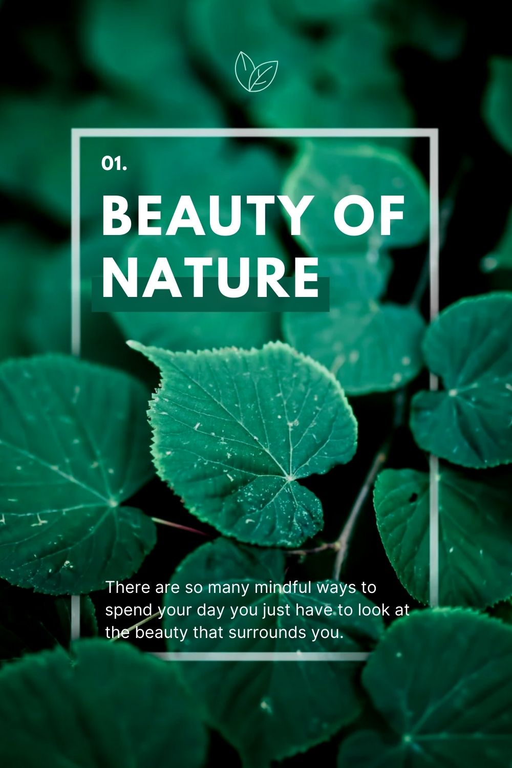 Close-up of green leaves with a mindful quote overlay that reads ‘Beauty of Nature’ promoting nature-inspired mindfulness routines.<br/>Nature invites us to pause, reflect, and connect—start your mindfulness routine by simply noticing what’s around you.