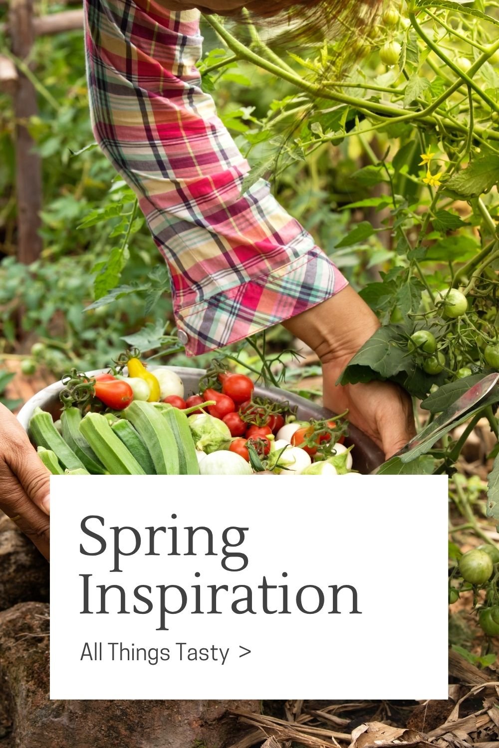 The Quiet Joy of Cooking with Spring Vegetables