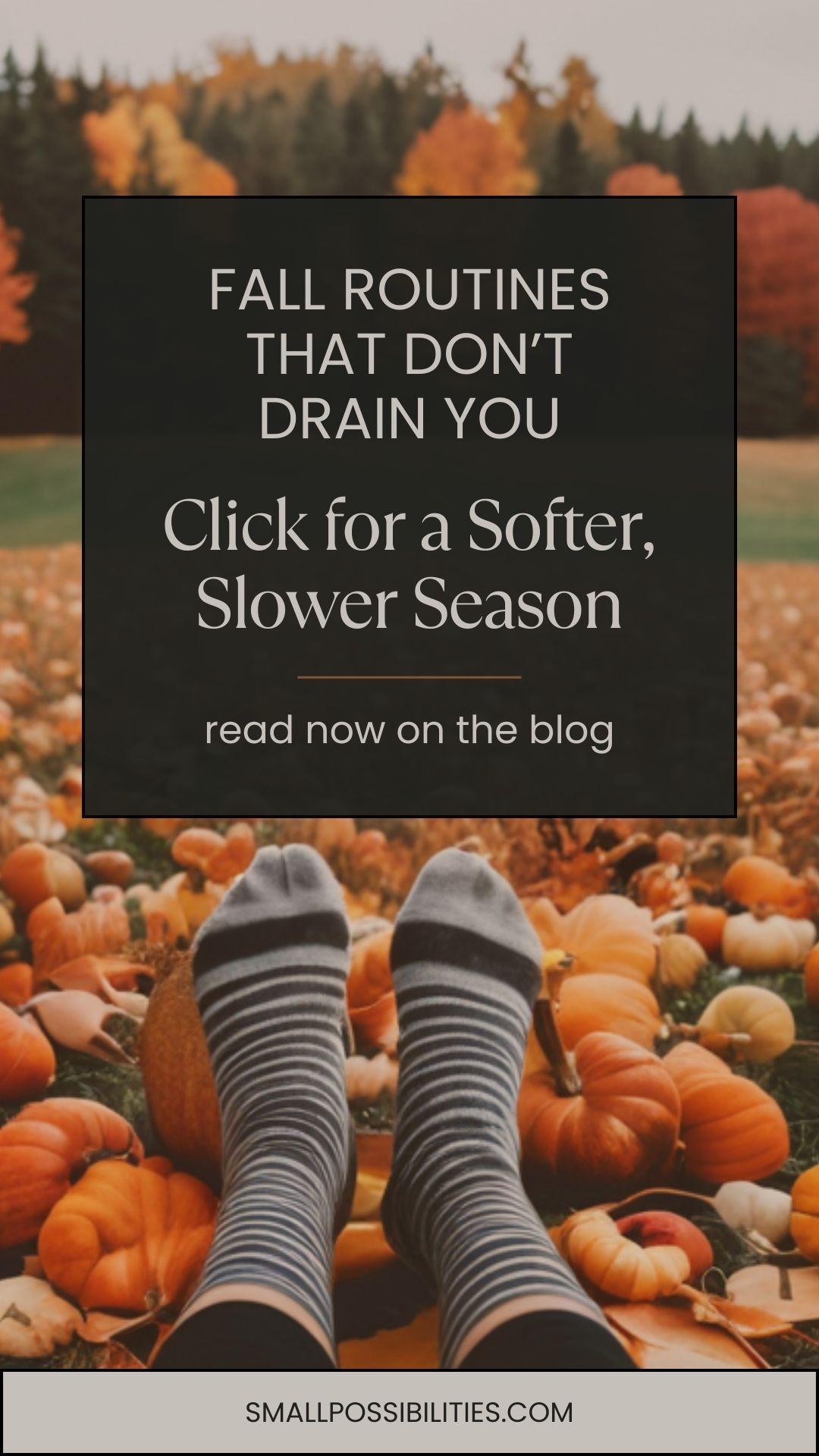 🌾 You don’t need another checklist—you need breathing room. Explore softer routines that honor your pace and keep your energy steady.