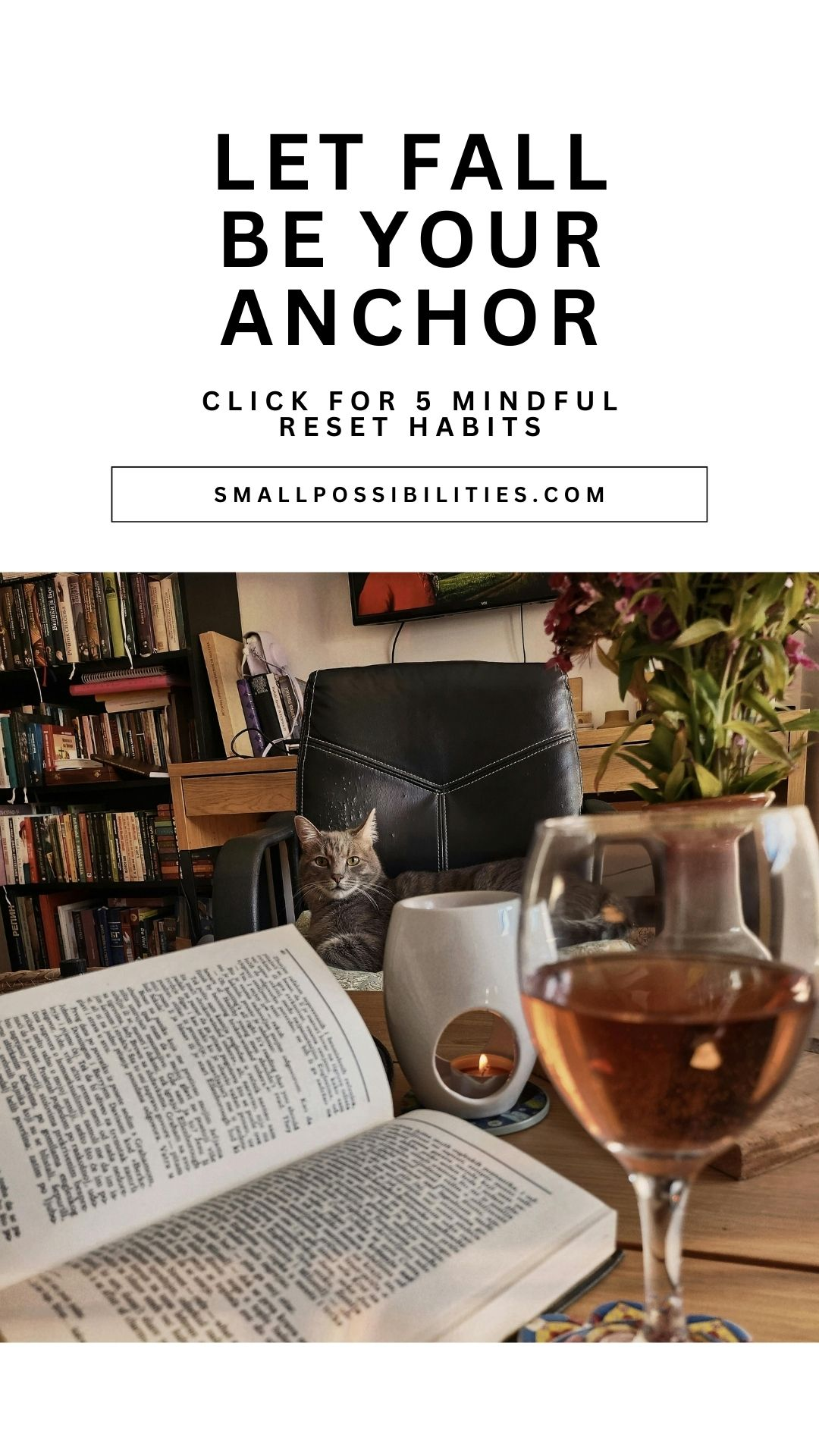 🐾 Let fall be your anchor. A candle, a good book, and a furry friend might be the mindful reset you’ve been craving.